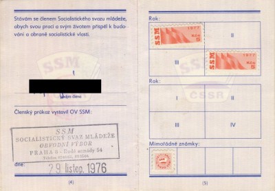 CHDSSMCH_Page_3.jpg