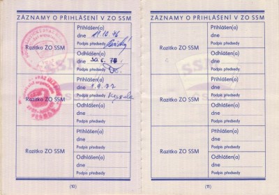CHDSSMCH_Page_6.jpg