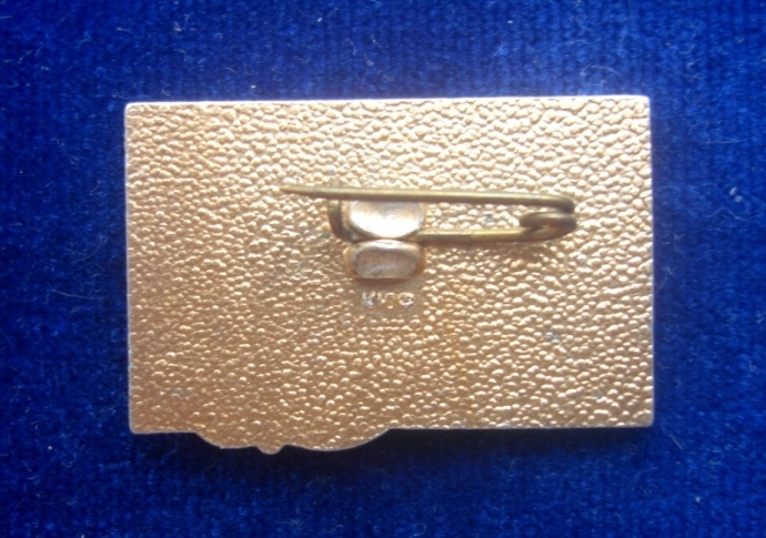 DSC09300.JPG