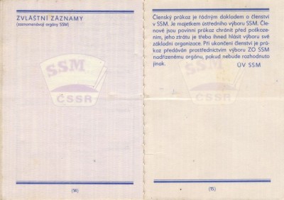 CHDSSMCH_Page_8.jpg
