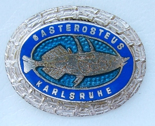 Karlsrue Gasterosteus2.JPG