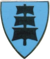 Larvik komm-7.JPG
