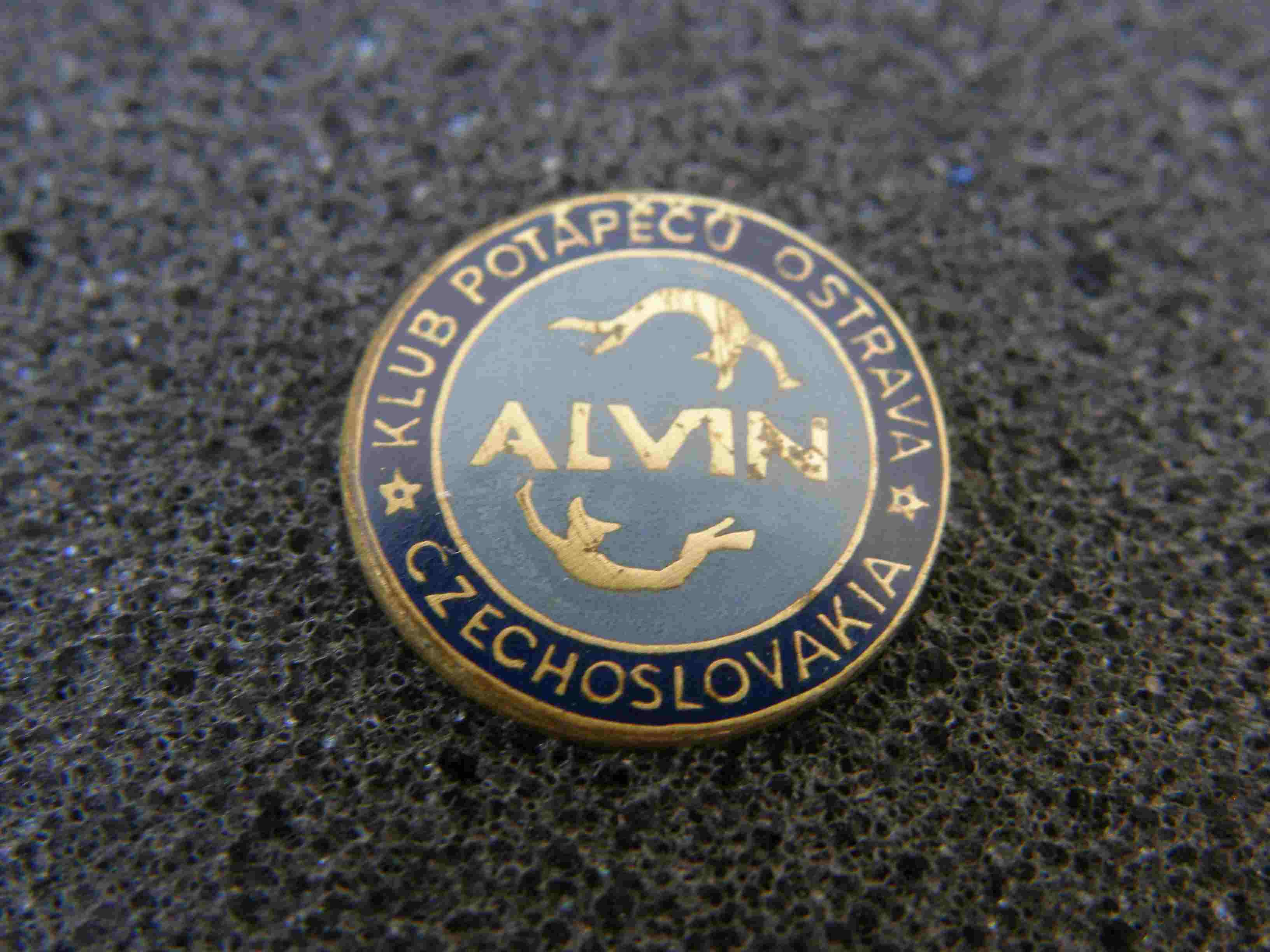 P1010007.jpg