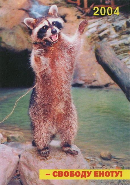 2004_Енот Потаскун_01-1.jpg