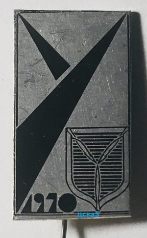 215603088.jpg
