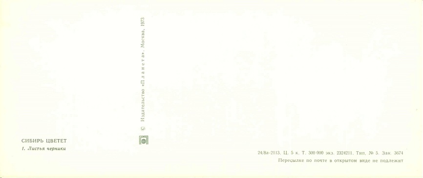 01 Сибирь цветет 1973. Листья черники р.jpg