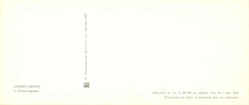 03 Сибирь цветет 1973. Лилия-саранка р.jpg