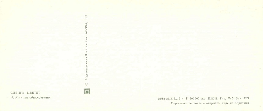 06 Сибирь цветет 1973. Кислица обыкновенная р.jpg