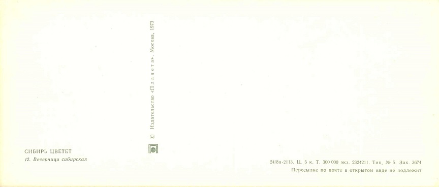 12 Сибирь цветет 1973. Вечерница сибирская р.jpg