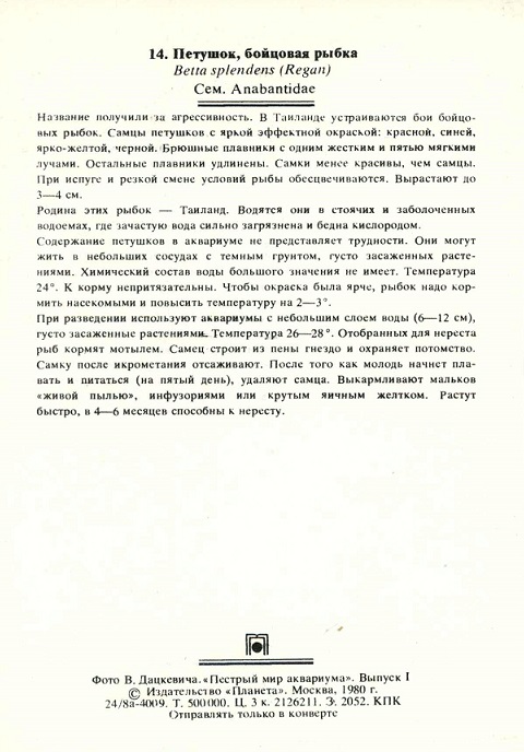 14 Пестрый мир аквариума 1980. Вып. 1. Петушок, бойцовая рыбка р.jpg