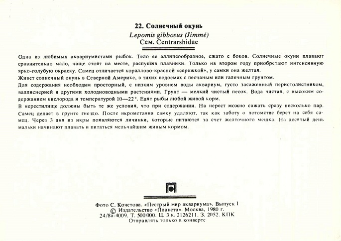 22 Пестрый мир аквариума 1980. Вып. 1. Солнечный окунь р.jpg