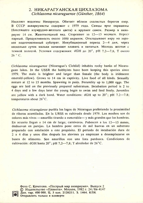 02 Пестрый мир аквариума 1982. Вып. 2. Никарагуанская цихлазома р.jpg