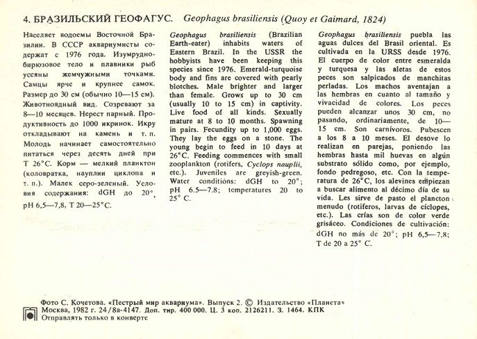 04 Пестрый мир аквариума 1982. Вып. 2. Бразильский геофагус р.jpg
