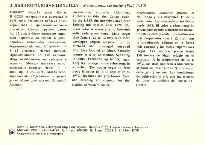 05 Пестрый мир аквариума 1982. Вып. 2. Львиноголовая цихлида р.jpg