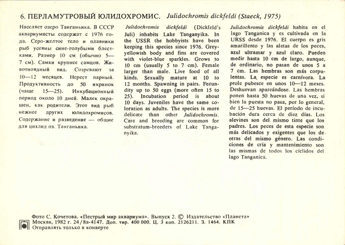 06 Пестрый мир аквариума 1982. Вып. 2. Перламутровый юлидохромис р.jpg