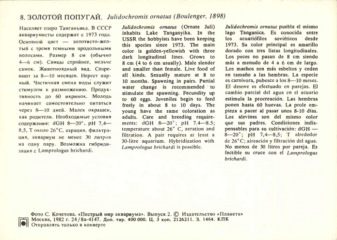 08 Пестрый мир аквариума 1982. Вып. 2. Золотой попугай р.jpg