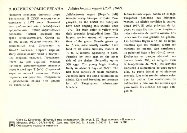 09 Пестрый мир аквариума 1982. Вып. 2. Юлидохромис Регана р.jpg