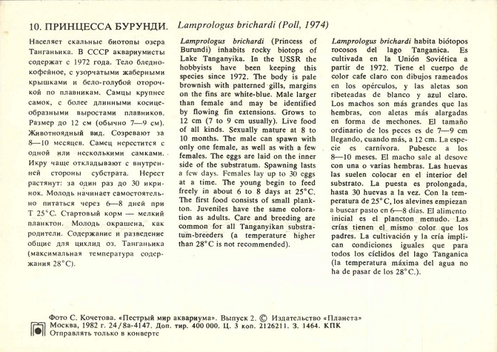 10 Пестрый мир аквариума 1982. Вып. 2. Принцесса Бурунди р.jpg