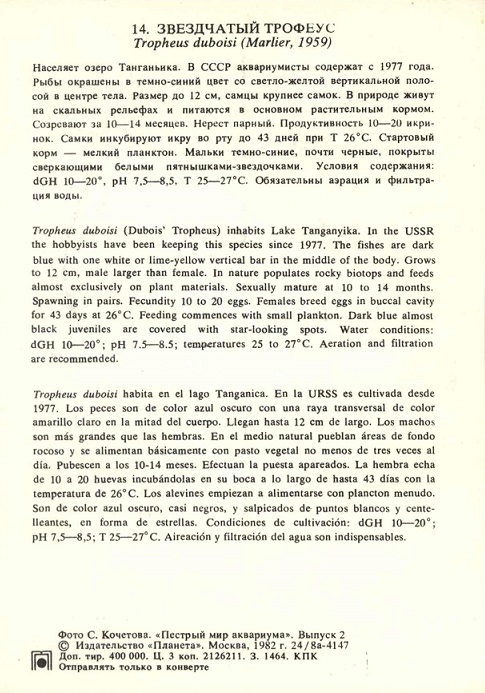 14 Пестрый мир аквариума 1982. Вып. 2. Звездчатый трофеус р.jpg