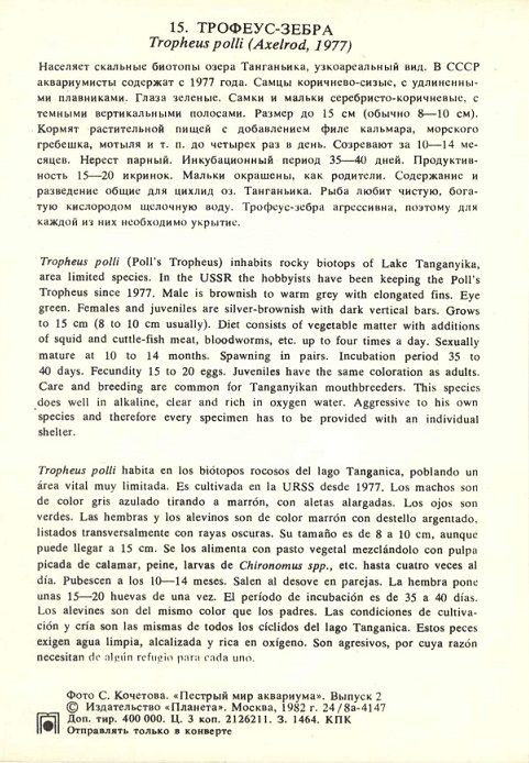 15 Пестрый мир аквариума 1982. Вып. 2. Трофеус-зебра р.jpg