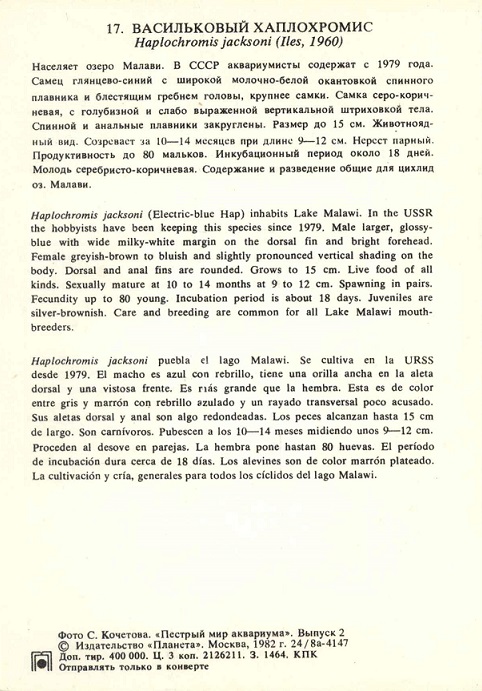 17 Пестрый мир аквариума 1982. Вып. 2. Васильковый хаплохромис р.jpg