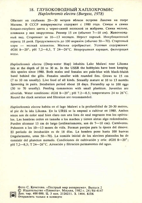 18 Пестрый мир аквариума 1982. Вып. 2. Глубоководный хаплохромис р.jpg