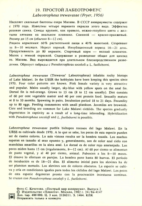 19 Пестрый мир аквариума 1982. Вып. 2. Простой лабеотрофеус р.jpg