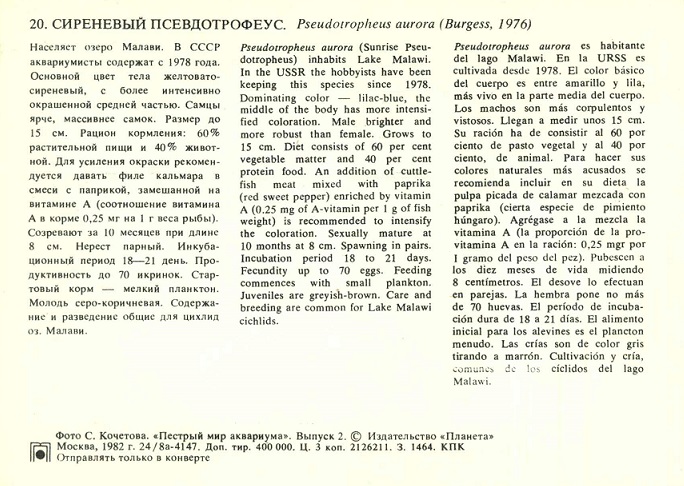 20 Пестрый мир аквариума 1982. Вып. 2. Сиреневый псевдотрофеус р.jpg