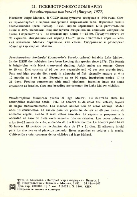 21 Пестрый мир аквариума 1982. Вып. 2. Псевдотрофеус Ломбардо р.jpg