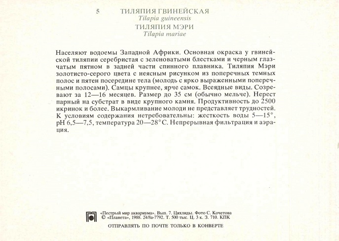 05 Пестрый мир аквариума 1988. Вып. 7. Тиляпия гвинейская... р.jpg