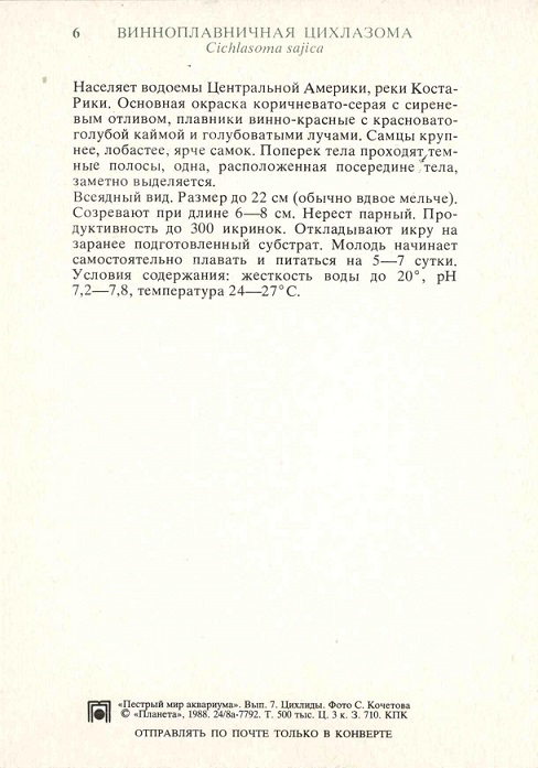 06 Пестрый мир аквариума 1988. Вып. 7. Винноплавничная цихлазома р.jpg