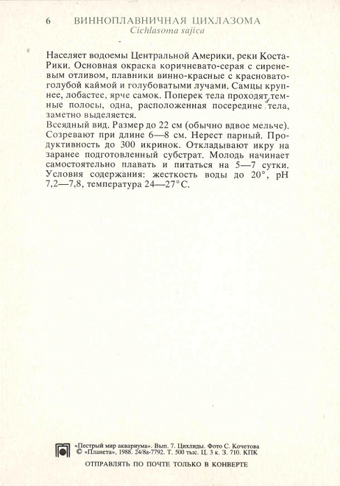 06 Пестрый мир аквариума 1988. Вып. 7. Винноплавничная цихлазома р.jpg