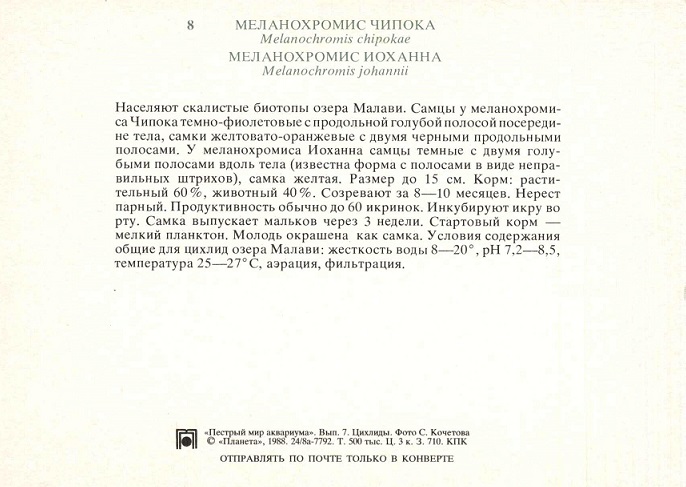 08 Пестрый мир аквариума 1988. Вып. 7. Меланохромис Чипока р.jpg