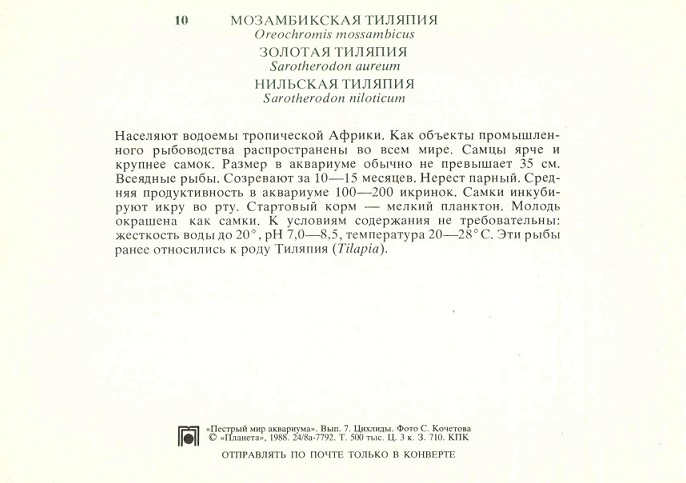 10 Пестрый мир аквариума 1988. Вып. 7. Мозамбикская тиляпия... р.jpg