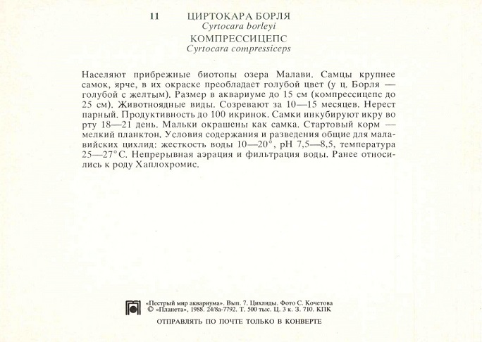 11 Пестрый мир аквариума 1988. Вып. 7. Циртокара Борля... р.jpg