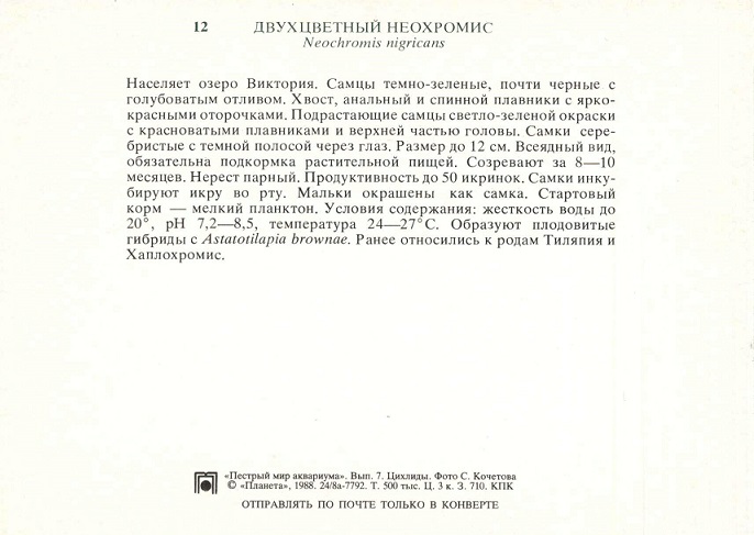 12 Пестрый мир аквариума 1988. Вып. 7. Двухцветный неохромис р.jpg