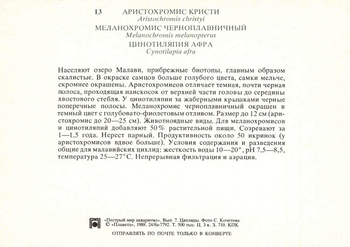 13 Пестрый мир аквариума 1988. Вып. 7. Аристохромис Кристи... р.jpg