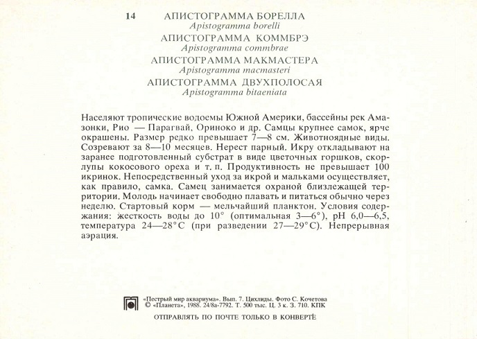 14 Пестрый мир аквариума 1988. Вып. 7. Апистограмма Борелла... р.jpg