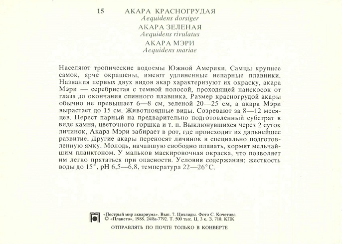 15 Пестрый мир аквариума 1988. Вып. 7. Акара красногрудая... р.jpg