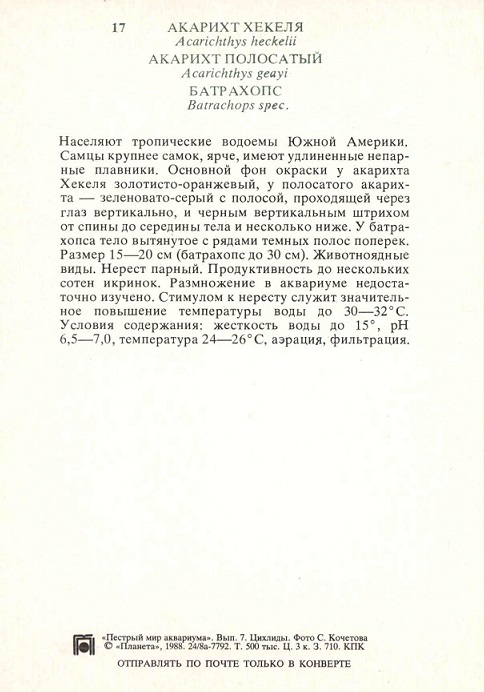 17 Пестрый мир аквариума 1988. Вып. 7. Акарихт Хекеля... р.jpg