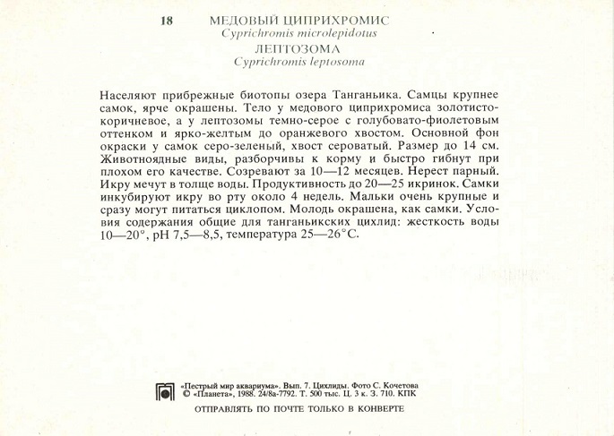 18 Пестрый мир аквариума 1988. Вып. 7. Медовый циприхромис... р.jpg