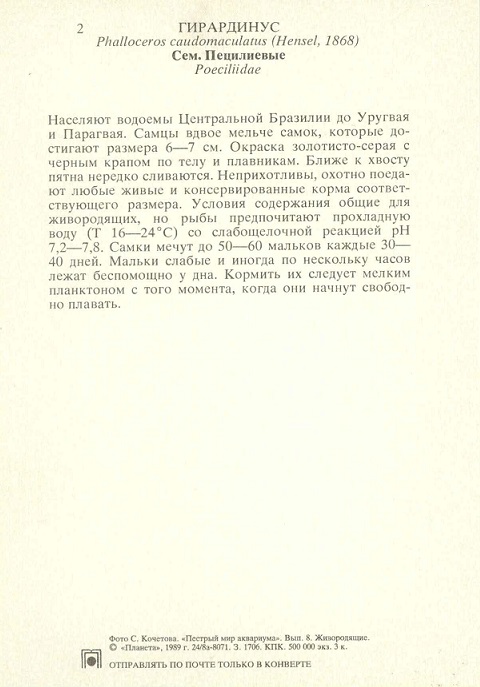 02 Пестрый мир аквариума 1989. Вып. 8. Гирардинус р.jpg