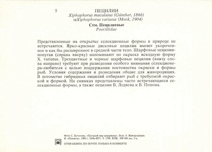 05 Пестрый мир аквариума 1989. Вып. 8. Пецилии р.jpg