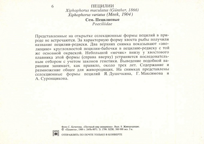 06 Пестрый мир аквариума 1989. Вып. 8. Пецилии р.jpg