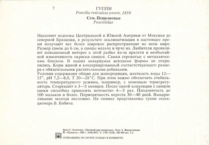 07 Пестрый мир аквариума 1989. Вып. 8. Гуппи р.jpg