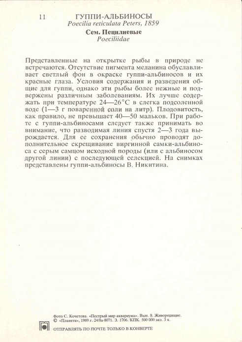 11 Пестрый мир аквариума 1989. Вып. 8. Гуппи-альбиносы р.jpg