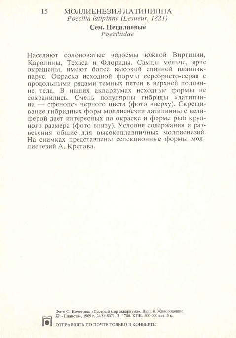 15 Пестрый мир аквариума 1989. Вып. 8. Моллиенезия латипинна р.jpg