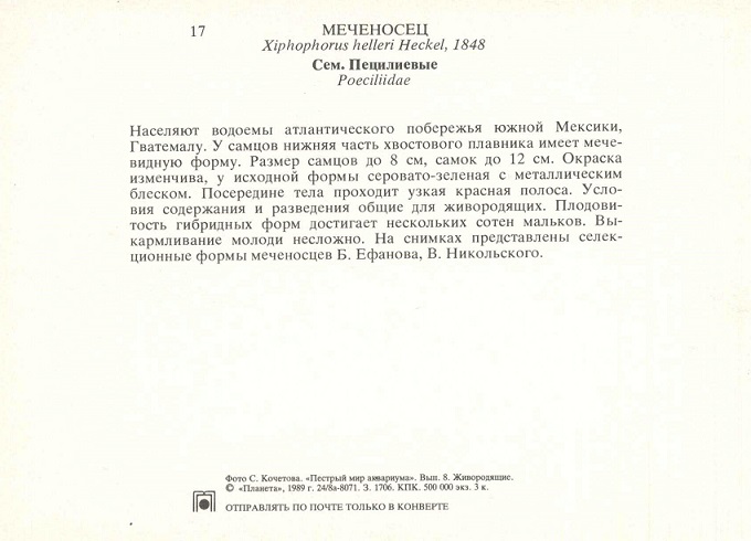 17 Пестрый мир аквариума 1989. Вып. 8. Меченосец р.jpg