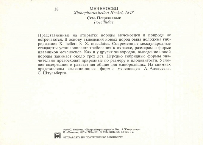 18 Пестрый мир аквариума 1989. Вып. 8. Меченосец р.jpg