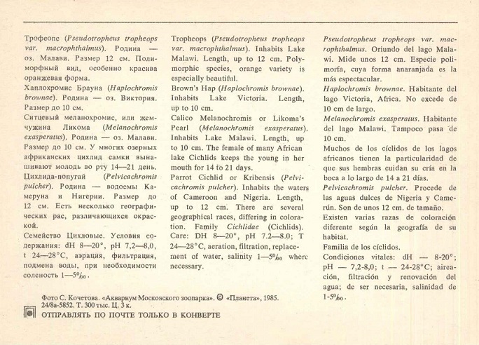 01 Аквариум Московского зоопарка 1985. Трофеопс... р.jpg